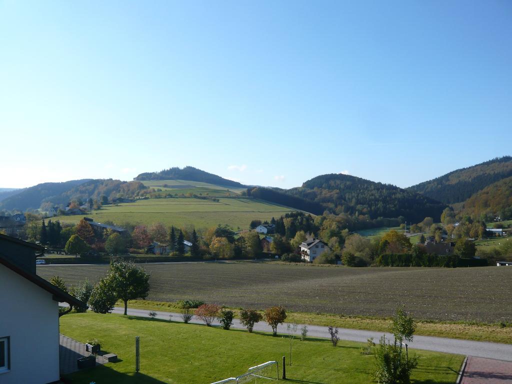 Vila Haus Talblick Willingen  Exteriér fotografie