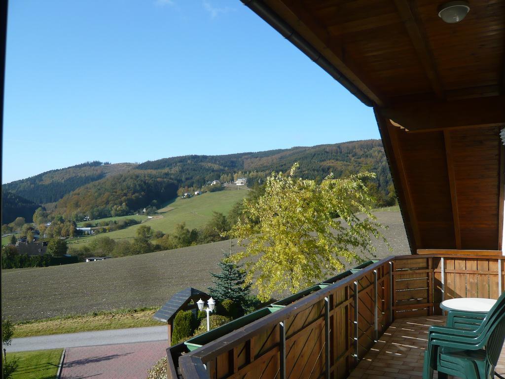 Vila Haus Talblick Willingen  Exteriér fotografie